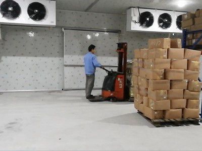 Холодильная камера для хранения овощей и фруктов