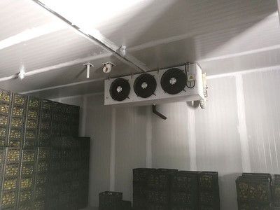 Холодильная камера с РГС