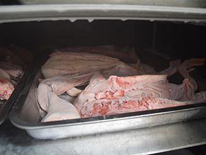 Холодильная камера шоковой заморозки