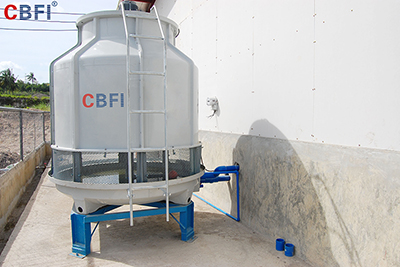 CBFI-12-тонный завод по производству блочного льда на Филиппинах