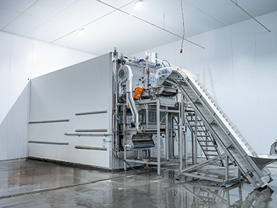 Морозильник быстрой заморозки ягод мощностью 2000 кг/ч для клиента из Кыргызстана