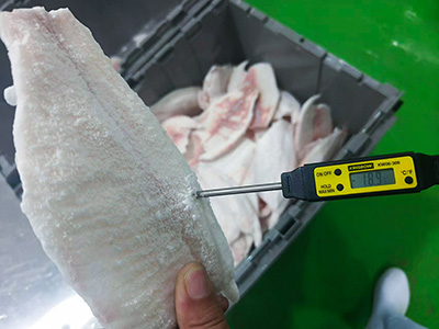 Туннельный морозильник для рыбного филе в Индонезии