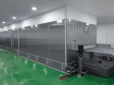 Туннельный морозильник для рыбного филе в Индонезии