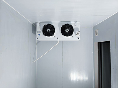 Туннельный морозильник для рыбного филе в Индонезии