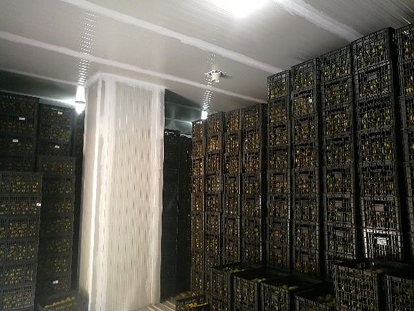 Примеры работ