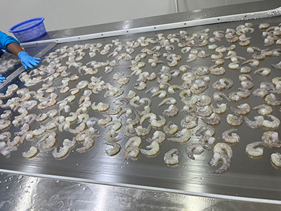 Быстрозамораживающий туннельный морозильник для креветок в Таиланде