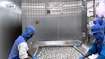 Быстрозамораживающий туннельный морозильник для креветок в Таиланде